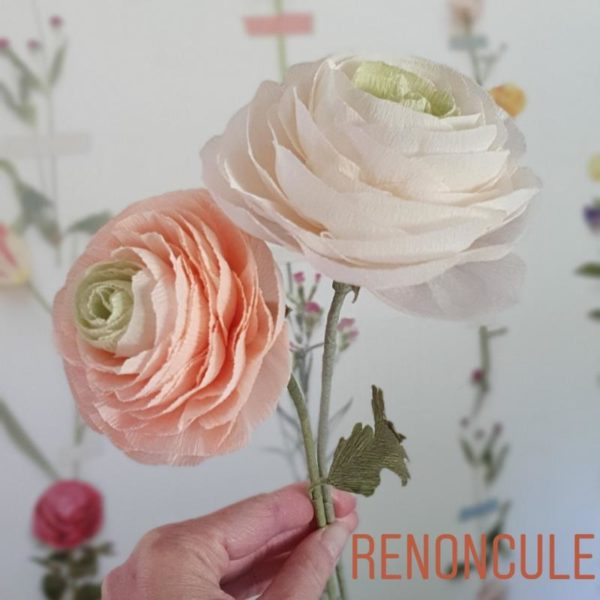 RENONCULE – MERCREDI 29 OCTOBRE 2025 - 14H00