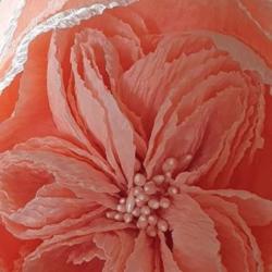 rose anglaise 2