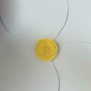 513926642_1215815687222808_6696797928142135025_n