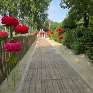 518353385_1256148106522899_798573505048882099_n