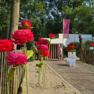 531655726_1256147993189577_5277880730373086105_n