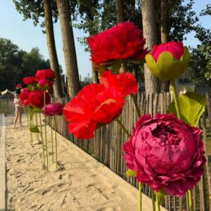 533136458_1256148099856233_2736943678281323755_n