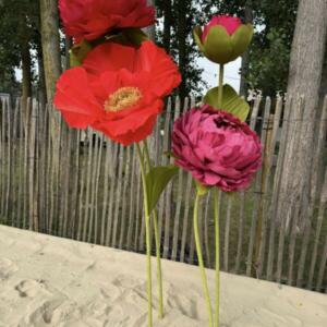 533218680_1256148143189562_3486454726323510037_n