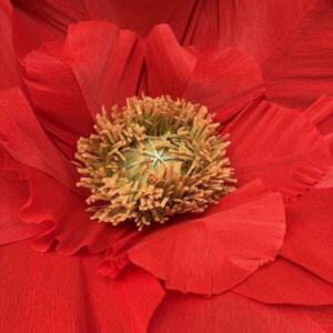 534521976_1256129906524719_4587036522052205017_n