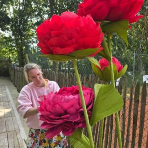 534754116_1256147979856245_4622304022214145161_n